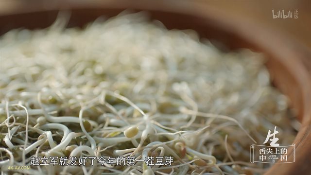 舌尖上的中国 第3季第7集 生 / A Bite of China S03E07